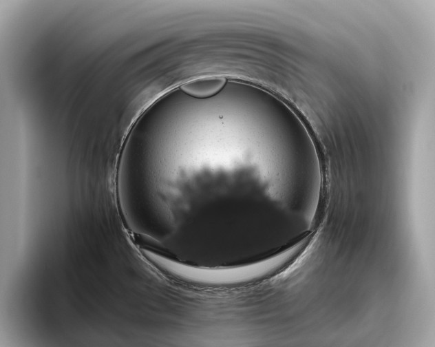 X0000093621529200710221537
