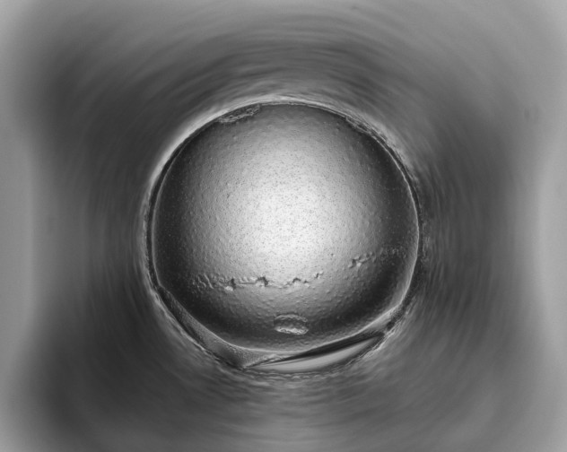 X0000093621530200710221537