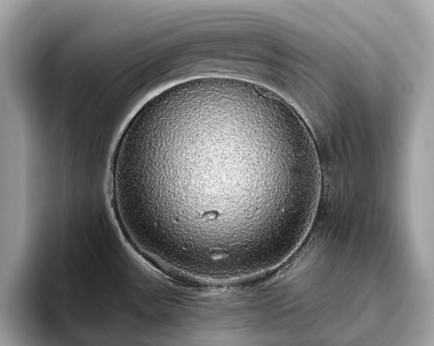 X0000093621531200710221537