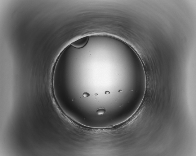 X0000093621534200710221537