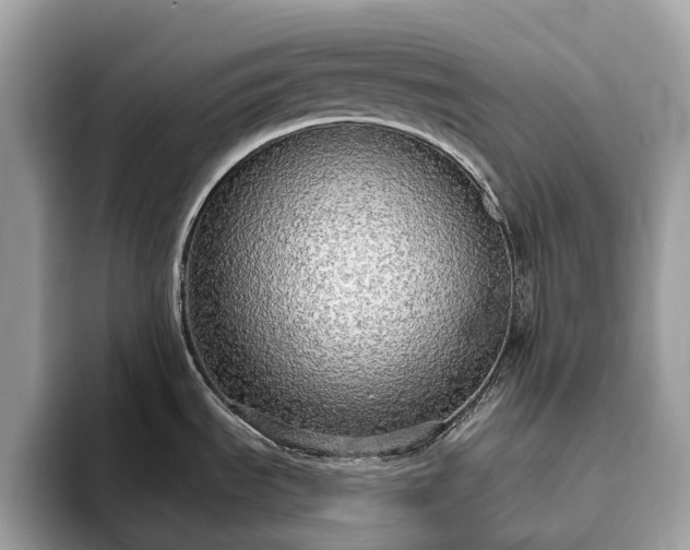 X0000093621535200710221537