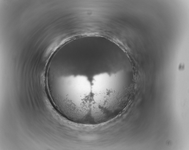 X0000093620002200710291236
