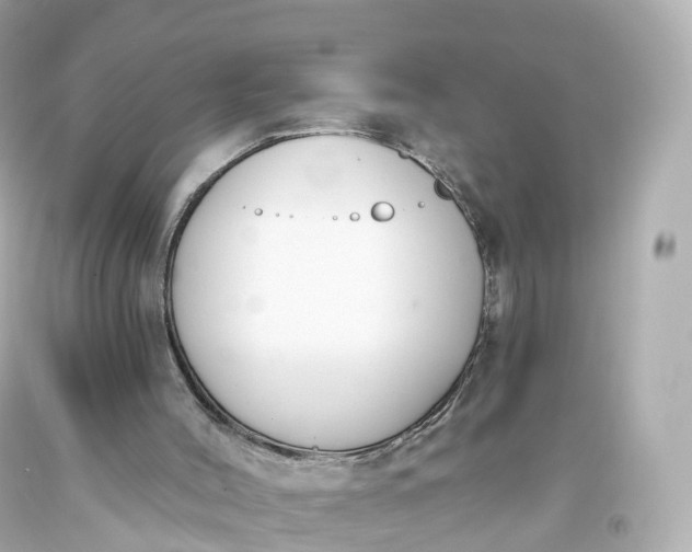 X0000093620004200710291236