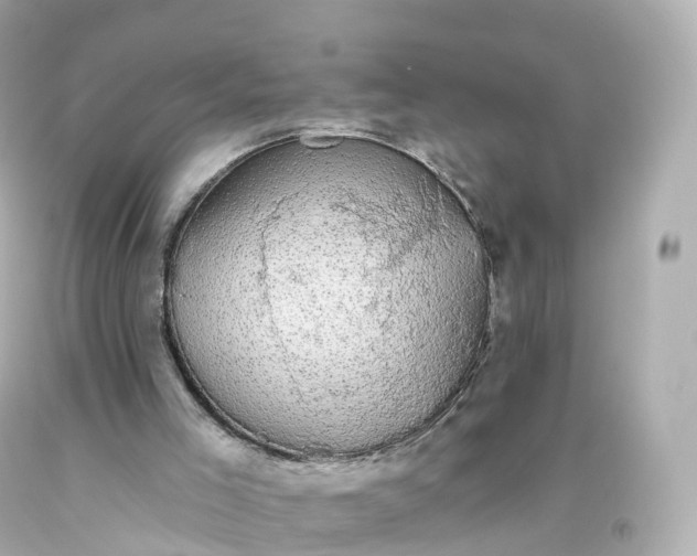 X0000093620005200710291236