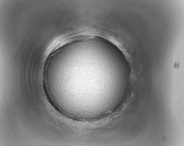 X0000093620007200710291236