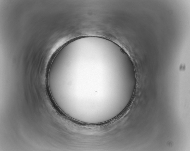 X0000093620008200710291236