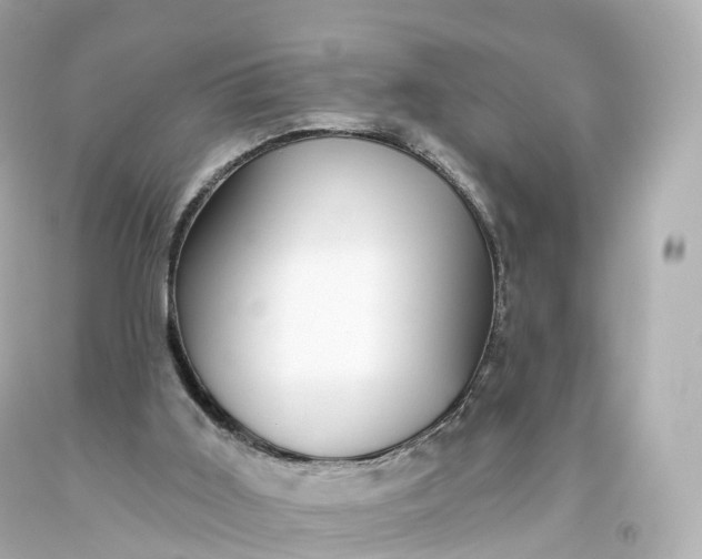 X0000093620011200710291236