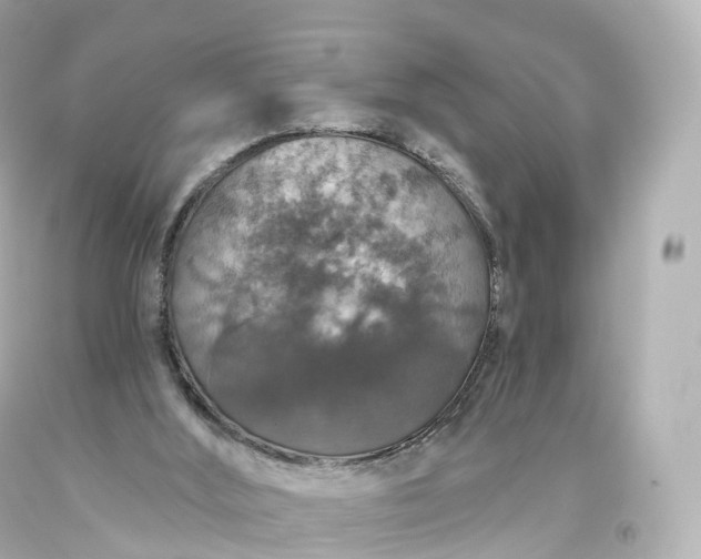 X0000093620012200710291236
