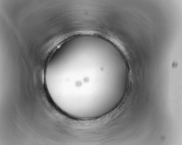 X0000093620013200710291236