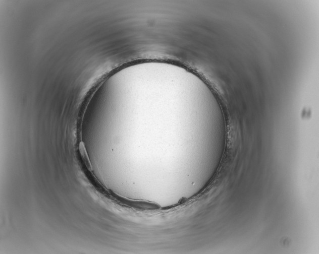 X0000093620015200710291236
