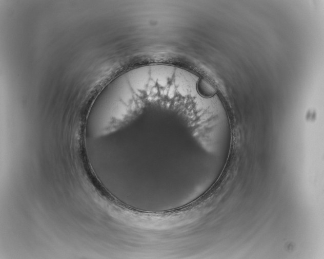 X0000093620018200710291236
