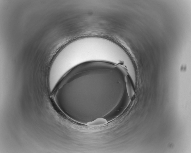 X0000093620019200710291236