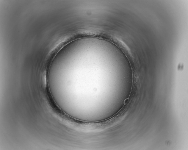 X0000093620020200710291236