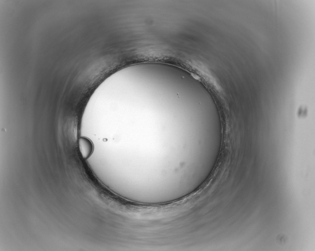 X0000093620021200710291236