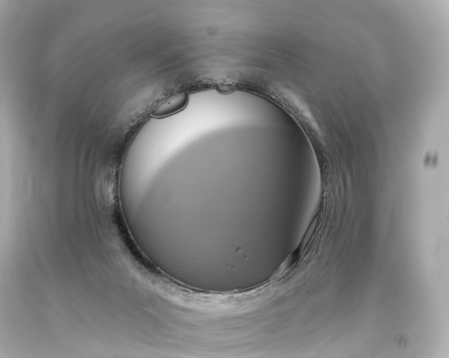 X0000093620023200710291236