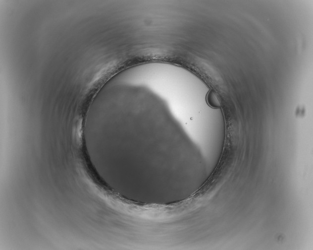 X0000093620024200710291235