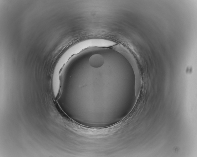 X0000093620027200710291235