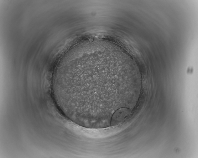 X0000093620030200710291235