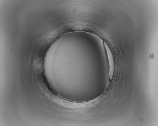 X0000093620031200710291235