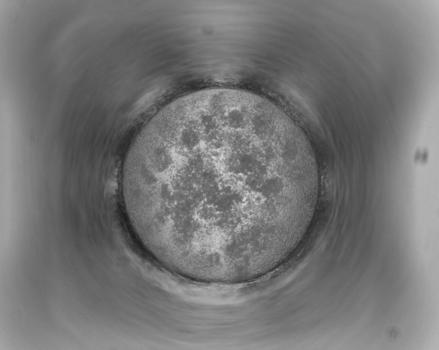 X0000093620032200710291235