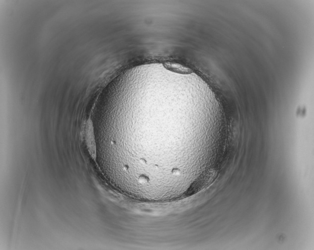 X0000093620033200710291235