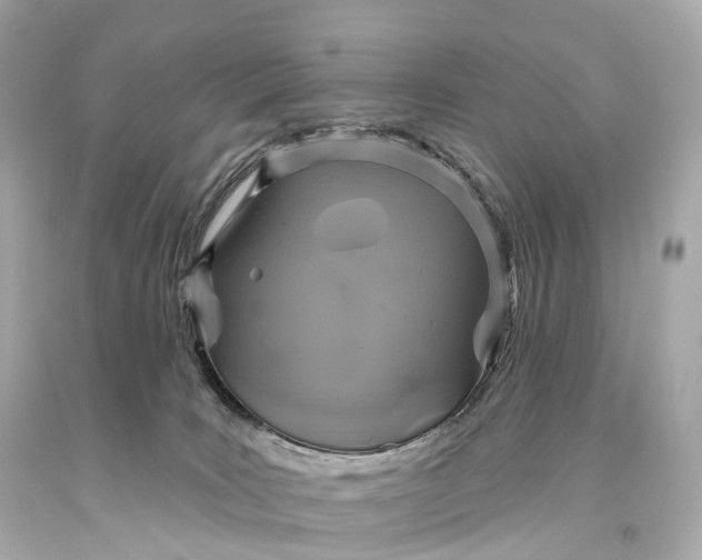X0000093620035200710291235