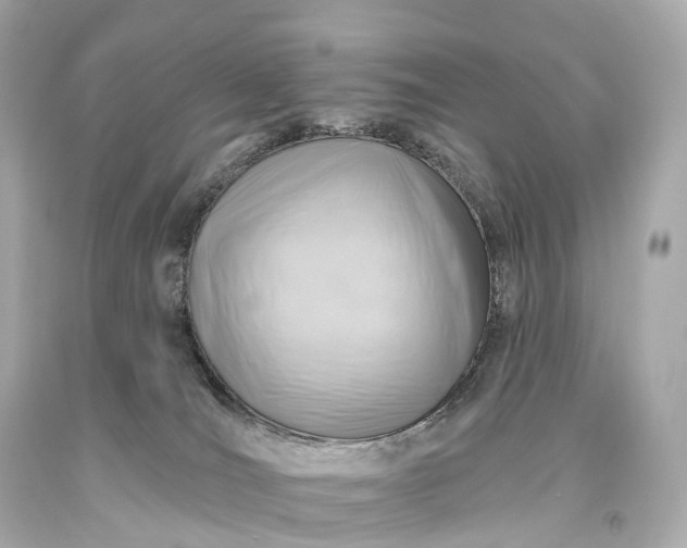X0000093620036200710291235