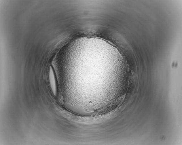 X0000093620037200710291235