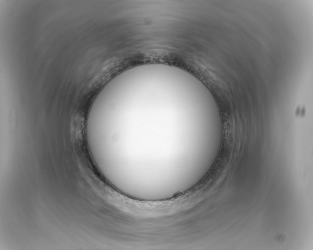 X0000093620038200710291235