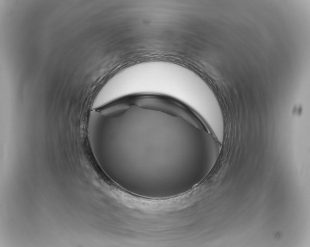 X0000093620039200710291235