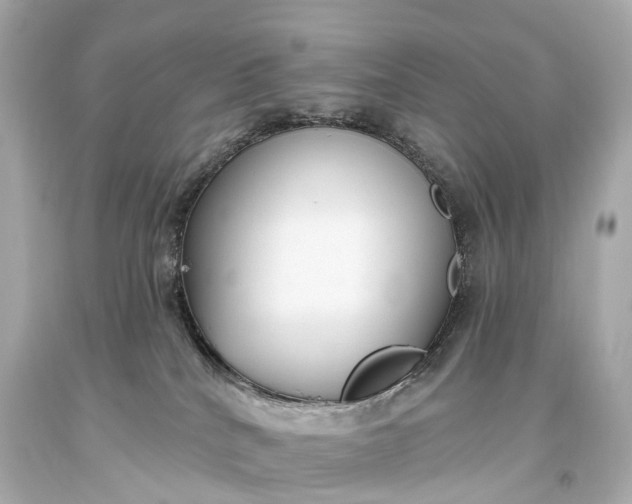 X0000093620040200710291235