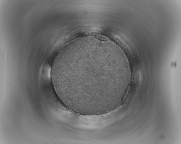 X0000093620041200710291235