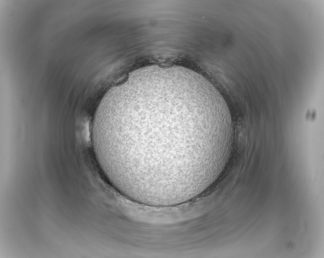 X0000093620042200710291235