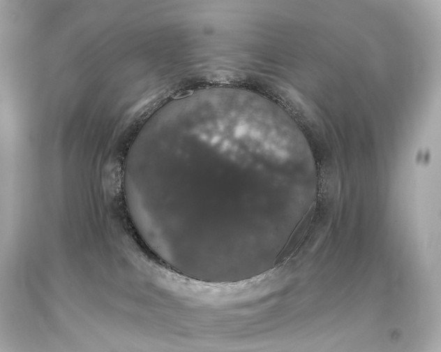X0000093620043200710291235