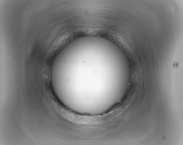 X0000093620044200710291235