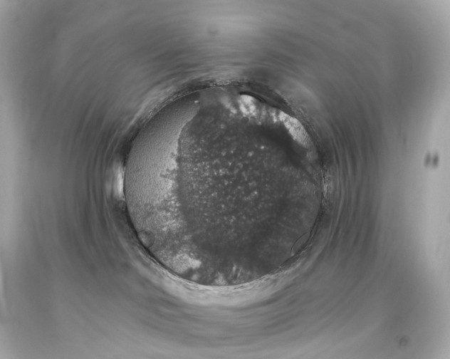 X0000093620046200710291235