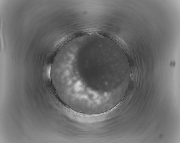 X0000093620047200710291235