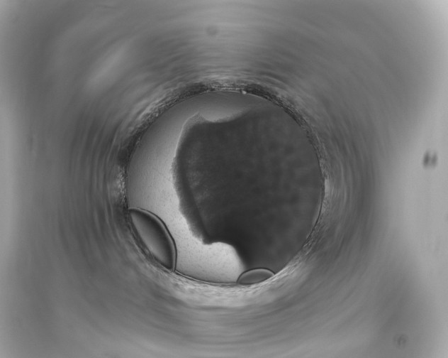 X0000093620048200710291235