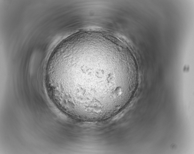 X0000093620049200710291234