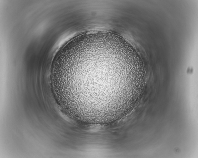 X0000093620050200710291234