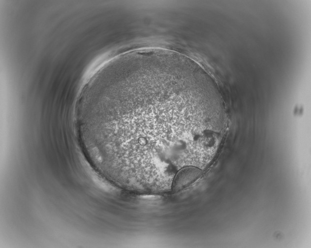 X0000093620053200710291234