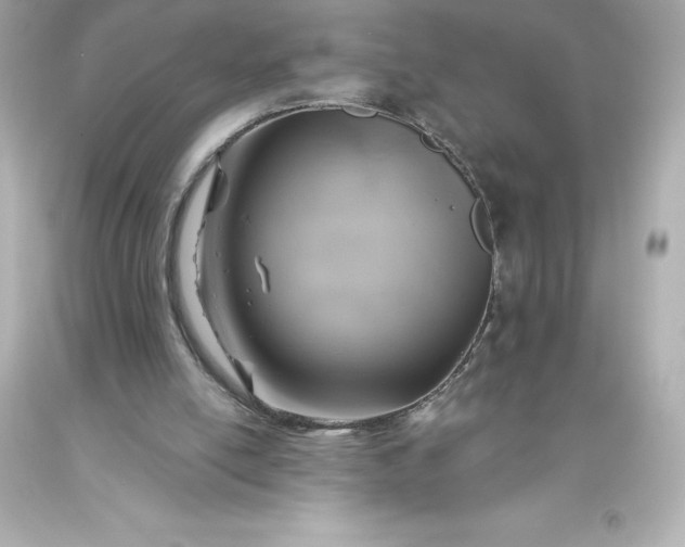 X0000093620054200710291234