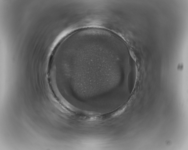 X0000093620056200710291234