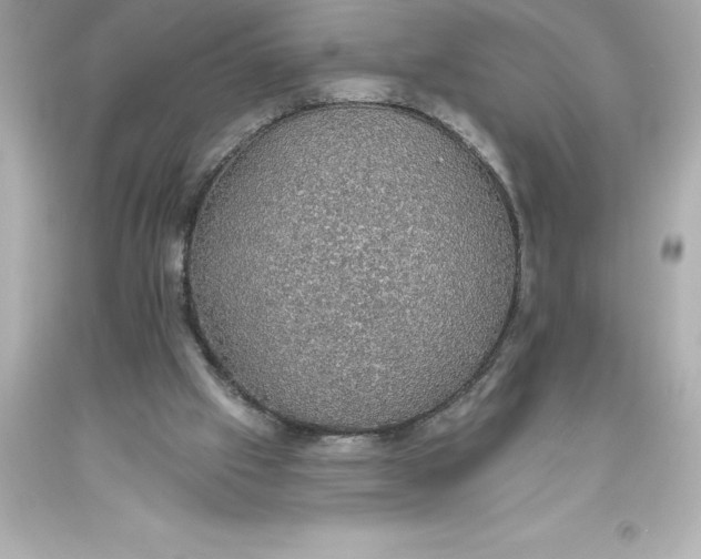 X0000093620057200710291234