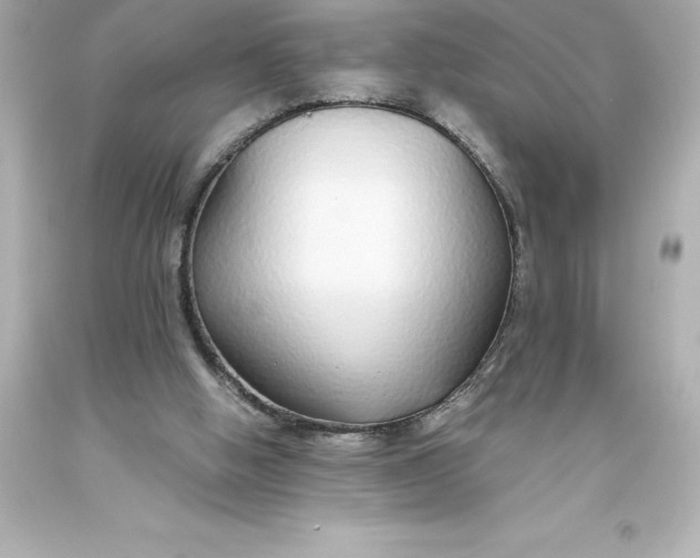 X0000093620058200710291234