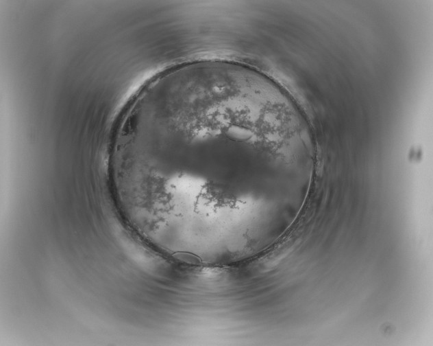 X0000093620060200710291234
