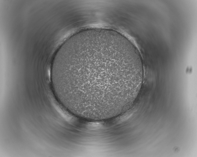 X0000093620061200710291234