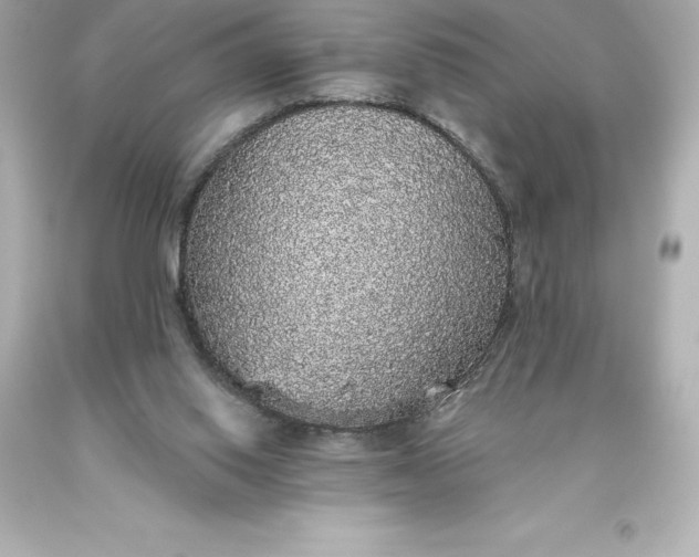 X0000093620062200710291234