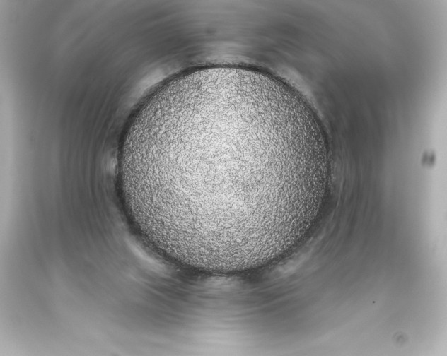 X0000093620063200710291234