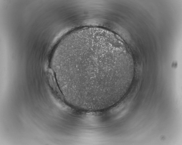 X0000093620064200710291234